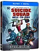Suicide-Squad-Hell-to-Pay-Steelbook-Blu-ray-und-UV-Copy-UK_klein.jpg