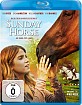 Sunday Horse - Ein Bund fürs Leben Blu-ray