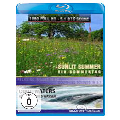 Sunlit-Summer-Cool-Waters.webp
