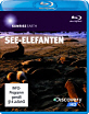 Sunrise Earth - See-Elefanten Blu-ray