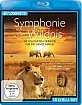 Symphonie der Wildnis (SD auf Blu-ray) (Neuauflage) Blu-ray