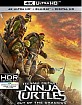 Teenage Mutant Ninja Turtles: Out of the Shadows 4K (4K UHD + Blu-ray + UV Copy) (US Import ohne dt. Ton) Blu-ray