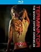 Terminator - The Sarah Connor Chronicles: Season 2 (UK Import ohne dt. Ton) Blu-ray