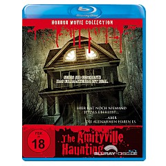 The-Amityville-Haunting-Horror-Movie-Collection-DE.jpg