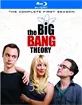 The Big Bang Theory: The Complete First Season (AU Import ohne dt. Ton) Blu-ray