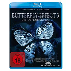The-Butterfly-Effect-3.webp