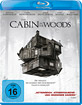 /image/movie/The-Cabin-in-the-Woods_klein.jpg