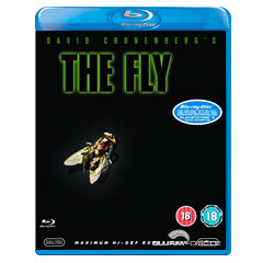 The-Fly-UK.webp