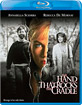 The Hand That Rocks the Cradle - 20th Anniversary Edition (US Import ohne dt. Ton) Blu-ray