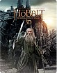 The Hobbit: The Desolation of Smaug 3D - Limited Edition Steelbook (Blu-ray 3D + Blu-ray + UV Copy) (UK Import ohne dt. Ton) Blu-ray