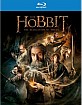 The Hobbit: The Desolation of Smaug (Blu-ray + UV Copy) (UK Import ohne dt. Ton) Blu-ray