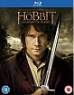 The Hobbit: An Unexpected Journey (Blu-ray + UV Copy) (UK Import ohne dt. Ton) Blu-ray