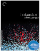The Ice Storm - Criterion Collection (Region A - US Import ohne dt. Ton) Blu-ray