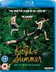 The Kings of Summer (UK Import ohne dt. Ton) Blu-ray