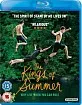 The Kings of Summer (UK Import ohne dt. Ton) Blu-ray