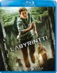Labyrintti (2014) (FI Import) Blu-ray