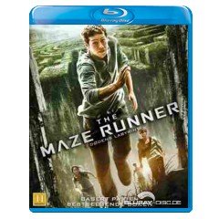 The-Maze-Runner-NO-Import.webp