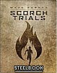 The Maze Runner: The Scorch Trials (2015) - Best Buy Exclusive Steelbook (Blu-ray + DVD + UV Copy) (US Import ohne dt. Ton) Blu-ray