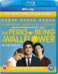 The Perks of Being a Wallflower (UK Import ohne dt. Ton) Blu-ray