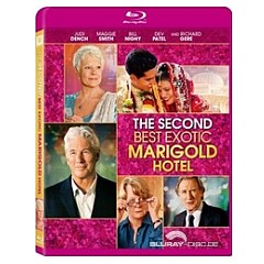 The-Second-Best-Exotic-Marigold-Hotel-US.jpg