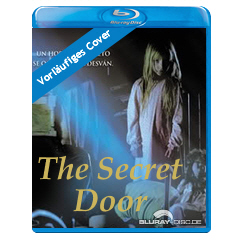 The-Secret-Door.jpg