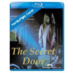 The-Secret-Door.webp