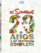 Os Simpsons - A 20 Anos Temporada Completa (BR Import ohne dt. Ton) Blu-ray