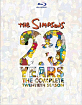 The Simpsons - The Complete Twentieth Season (CA Import ohne dt. Ton) Blu-ray