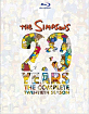 The Simpsons - The Complete Twentieth Season (US Import ohne dt. Ton) Blu-ray