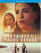The Tribes of Palos Verdes (2017) (Region A - US Import ohne dt. Ton) Blu-ray