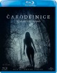 Čarodějnice (2015) (CZ Import ohne dt. Ton) Blu-ray