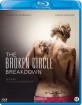 The Broken Circle Breakdown (NL Import ohne dt. Ton) Blu-ray