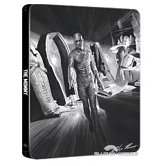 The-mummy-1932-Steelbook-IT-Import.webp