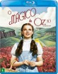 O Mágico de Oz 3D: Edição de 75º Aniversário (Blu-ray 3D + Blu-ray + UV Copy) (BR Import) Blu-ray