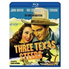 Three-Texas-Steers-US.webp