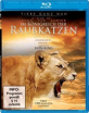 Tiere ganz nah - Im Königreich der Raubkatzen Blu-ray