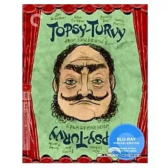 Topsy-Turvy-Region-A-US-ODT.webp