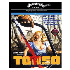 Torso-Grosse-Hartbox-B-AT.webp