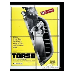 Torso-Hartbox-DE.webp