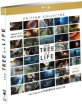 The Tree of Life (L'arbre de la vie) - Édition Collector (Neuauflage) (FR Import ohne dt. Ton) Blu-ray