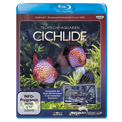 Tropische-Aquarien-Cichlide.jpg