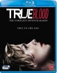 True Blood: The Complete Seventh Season (SE Import ohne dt. Ton) Blu-ray