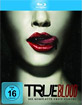 True-Blood-Staffel-1_klein.jpg