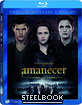 La Saga Crepúsculo: Amanecer - Parte 2 (2012) - Edición Metálica (Blu-ray + Bonus Blu-ray) (ES Import ohne dt. Ton) Blu-ray