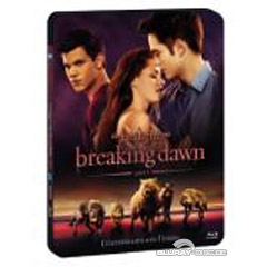 Twilight-Breaking-Dawn-Part-1-Star-Metal-Pak-IT.jpg