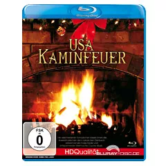 USA-Kaminfeuer.webp