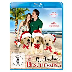 Und-wieder-eine-tierische-Bescherung.webp