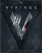 Vikings: The Complete First Season (Region A - US Import ohne dt. Ton) Blu-ray