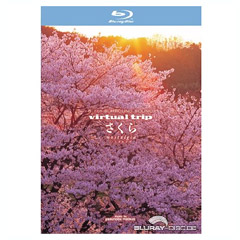 Virtual-Trip-Nostalgia-JP-ODT.webp