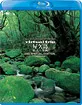 Virtual-Trip-Vakushima-JP-ODT_klein.webp